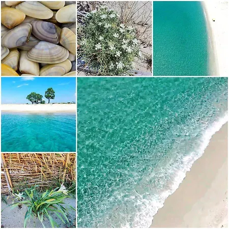 Viale Mediterraneo سيليا مارينا